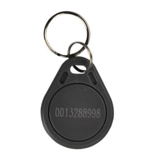 RFID Keychain BS-02GY 125kHz gray with number