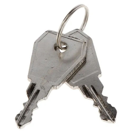 A pair of silver keys is attached to a small metal keyring. The keys have a classic design with jagged edges for locking mechanisms.