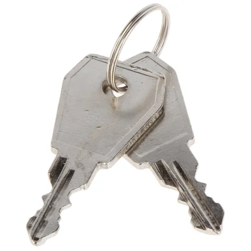 A pair of silver keys on a metal keyring, featuring a simple and sturdy design. The keys have a classic shape with notched edges for secure locking.