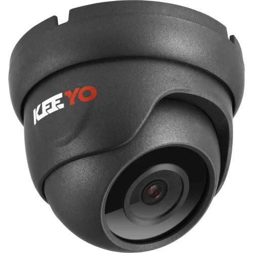 A sleek, black dome security camera with a compact design and a prominent lens for enhanced surveillance. The camera features the brand logo in red and white on its side, emphasizing its modern and professional appearance.